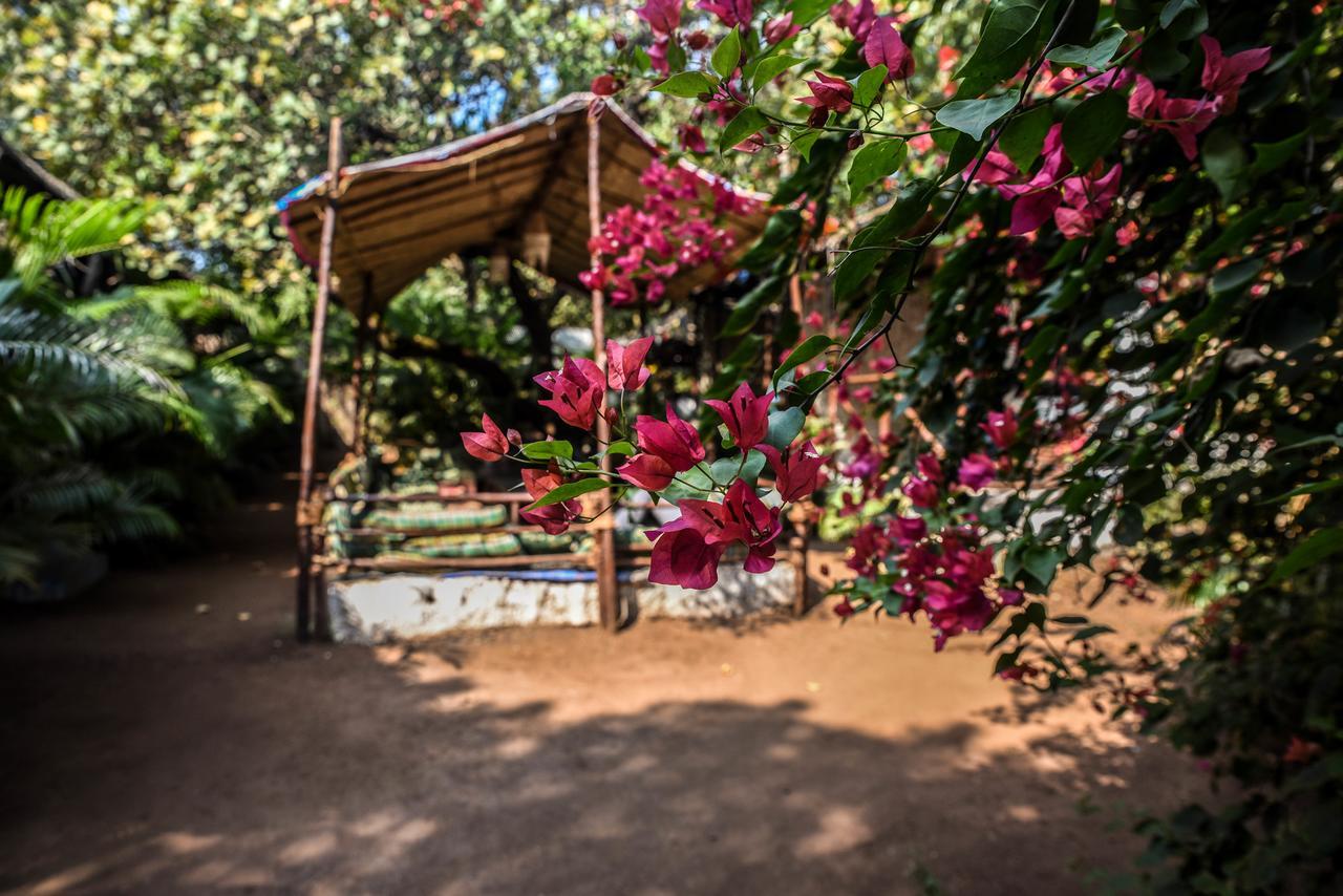 Rudra Holidays Guest House Arambol Zewnętrze zdjęcie